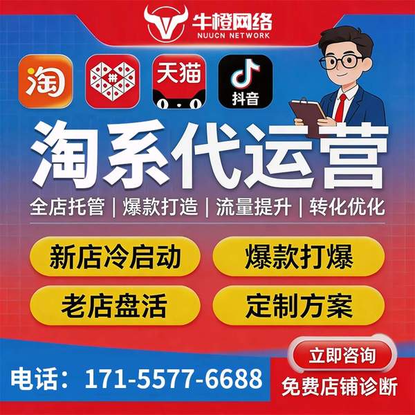 新余电商代运营