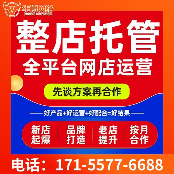 新余电商代运营