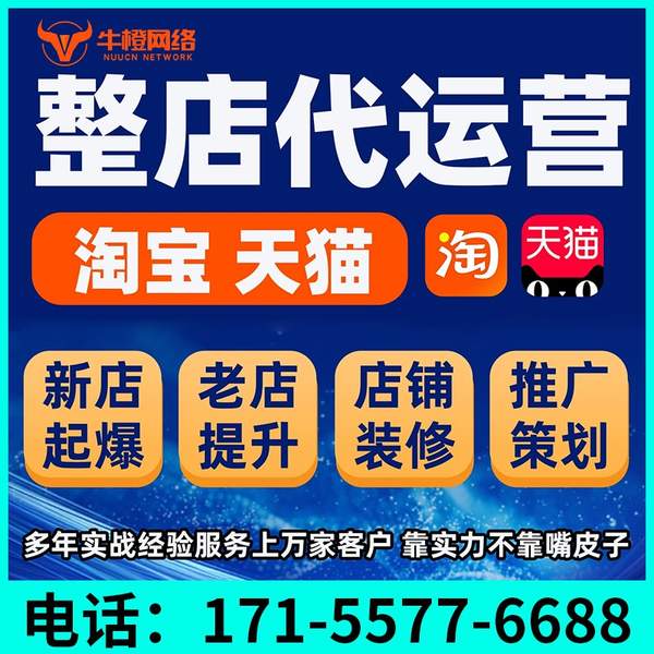 新余电商代运营