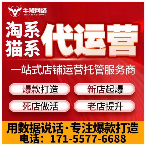 新余电商代运营